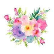 ヒメ日記 2025/05/10 08:18 投稿 ☆ゆうき☆業界未経験 ◆プラウディア◆AAA級素人娘在籍店