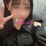 ヒメ日記 2025/06/12 10:18 投稿 ☆ゆうき☆業界未経験 ◆プラウディア◆AAA級素人娘在籍店