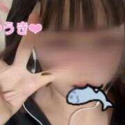 ヒメ日記 2025/07/24 15:58 投稿 ☆ゆうき☆業界未経験 ◆プラウディア◆AAA級素人娘在籍店