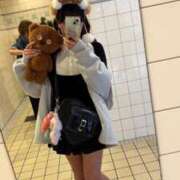 ヒメ日記 2025/12/01 09:07 投稿 なつ BUNNY（バニー）十三店