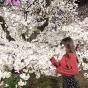 ヒメ日記 2025/04/06 17:22 投稿 桜井すず(さくらいすず) 東京ヒストリー lettre d'amour