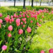 ヒメ日記 2025/04/30 13:52 投稿 桜井すず(さくらいすず) 東京ヒストリー lettre d'amour