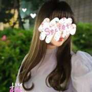 桜井すず(さくらいすず) 明日お待ちしてます 東京ヒストリー lettre d'amour