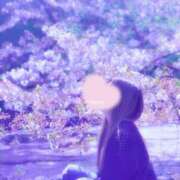 ヒメ日記 2026/08/14 07:19 投稿 夏目（なつめ） MAXIM（マキシム）
