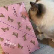 ヒメ日記 2026/07/28 14:29 投稿 陽向（ひなた） MAXIM（マキシム）
