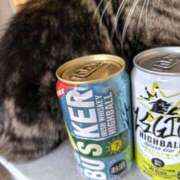 陽向（ひなた） じつは私飲んだことなくて MAXIM（マキシム）