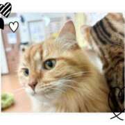 ヒメ日記 2026/09/01 18:19 投稿 京華（きょうか） MAXIM（マキシム）