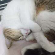 ヒメ日記 2026/09/13 10:49 投稿 井上（いのうえ） MAXIM（マキシム）