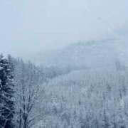 ヒメ日記 2025/03/16 20:00 投稿 二葉/ふたば 五反田アネージュ（ユメオト）