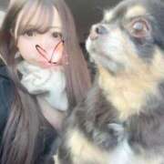 ヒメ日記 2026/03/16 15:33 投稿 リコ SCREEN(スクリーン)