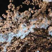 ヒメ日記 2025/04/14 19:09 投稿 みちる 白いぽっちゃりさん五反田店