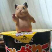 ヒメ日記 2025/05/07 19:49 投稿 みちる 白いぽっちゃりさん五反田店