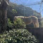 ヒメ日記 2025/04/12 10:32 投稿 あん 若妻淫乱倶楽部