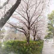 はるの 初日記 熟女デリヘル秘宝館Z