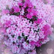 ヒメ日記 2025/05/31 12:59 投稿 はるの 熟女デリヘル秘宝館Z