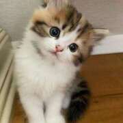 ヒメ日記 2025/03/07 12:47 投稿 あけみ 素人妻御奉仕倶楽部Hip's松戸店