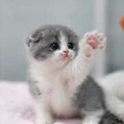 ヒメ日記 2025/03/09 02:17 投稿 あけみ 素人妻御奉仕倶楽部Hip's松戸店