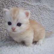 ヒメ日記 2025/03/11 12:38 投稿 あけみ 素人妻御奉仕倶楽部Hip's松戸店