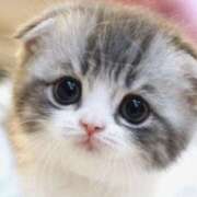 ヒメ日記 2025/03/23 20:58 投稿 あけみ 素人妻御奉仕倶楽部Hip's松戸店