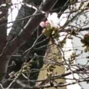 ヒメ日記 2025/03/25 19:48 投稿 あけみ 素人妻御奉仕倶楽部Hip's松戸店