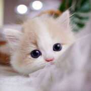 ヒメ日記 2025/04/01 13:08 投稿 あけみ 素人妻御奉仕倶楽部Hip's松戸店