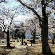 ヒメ日記 2025/04/04 12:13 投稿 あけみ 素人妻御奉仕倶楽部Hip's松戸店