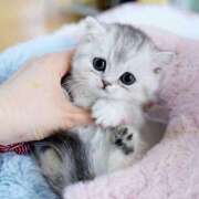 ヒメ日記 2025/04/22 12:32 投稿 あけみ 素人妻御奉仕倶楽部Hip's松戸店