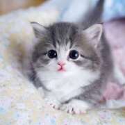 ヒメ日記 2025/05/07 12:46 投稿 あけみ 素人妻御奉仕倶楽部Hip's松戸店