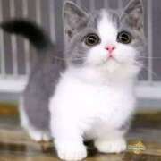 ヒメ日記 2025/05/20 12:38 投稿 あけみ 素人妻御奉仕倶楽部Hip's松戸店