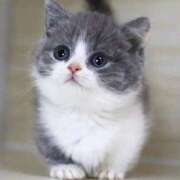 ヒメ日記 2025/06/03 13:05 投稿 あけみ 素人妻御奉仕倶楽部Hip's松戸店