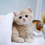 ヒメ日記 2025/06/04 12:39 投稿 あけみ 素人妻御奉仕倶楽部Hip's松戸店