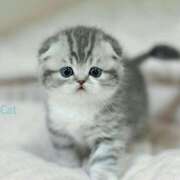 ヒメ日記 2025/06/06 12:41 投稿 あけみ 素人妻御奉仕倶楽部Hip's松戸店