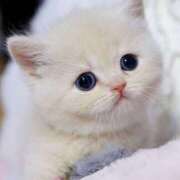 ヒメ日記 2025/07/11 13:56 投稿 あけみ 素人妻御奉仕倶楽部Hip's松戸店