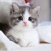 ヒメ日記 2025/07/15 13:07 投稿 あけみ 素人妻御奉仕倶楽部Hip's松戸店