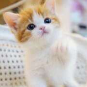 ヒメ日記 2025/08/06 13:36 投稿 あけみ 素人妻御奉仕倶楽部Hip's松戸店