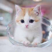 ヒメ日記 2025/08/13 13:20 投稿 あけみ 素人妻御奉仕倶楽部Hip's松戸店