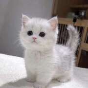 ヒメ日記 2025/09/03 13:29 投稿 あけみ 素人妻御奉仕倶楽部Hip's松戸店