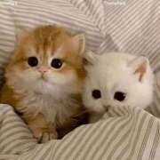 ヒメ日記 2025/09/05 13:49 投稿 あけみ 素人妻御奉仕倶楽部Hip's松戸店