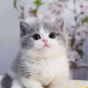 あけみ 雨止みましたね☺️ 素人妻御奉仕倶楽部Hip's松戸店