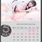 ヒメ日記 2026/04/24 10:56 投稿 ひまり 鹿鳴館