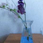 ヒメ日記 2025/12/24 12:34 投稿 詩(うた) 可憐な妻たち 高崎店