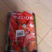 ヒメ日記 2026/02/19 06:29 投稿 詩(うた) 可憐な妻たち 高崎店