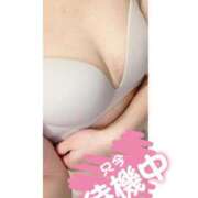 ヒメ日記 2025/03/07 03:48 投稿 あんじゅ奥様 金沢の20代30代40代50代が集う人妻倶楽部