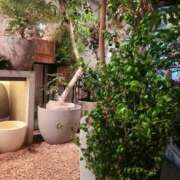 ヒメ日記 2025/07/27 19:43 投稿 ミント Club 妻