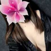 ヒメ日記 2025/08/12 11:18 投稿 ミント Club 妻