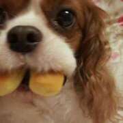 ミント パラレルワールド Club 妻