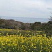 ヒメ日記 2026/03/24 19:54 投稿 ミント Club 妻