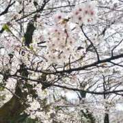 ヒメ日記 2025/04/12 14:10 投稿 こころ 福盛