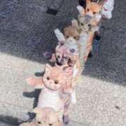 ヒメ日記 2025/05/18 14:30 投稿 こころ 福盛