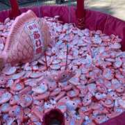 こころ 今日 福盛